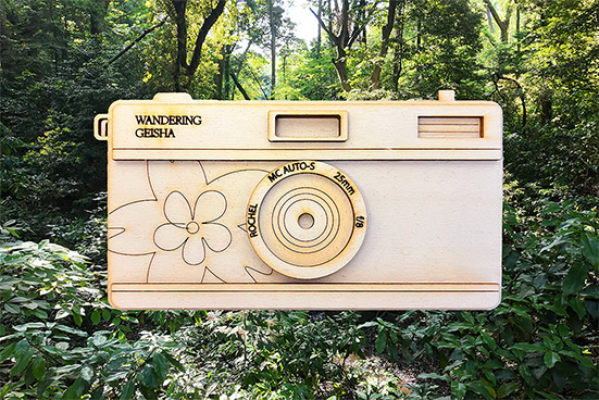 Project 2 description