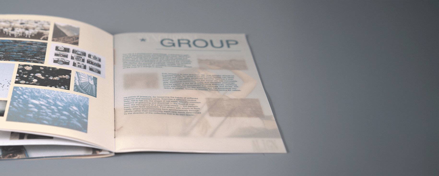 Project 2 description